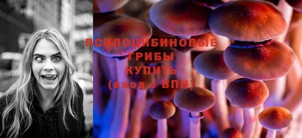 ECSTASY Алексеевка