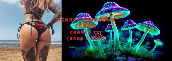 ECSTASY Алексеевка