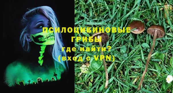 амф Абинск