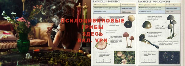 MDMA Абдулино