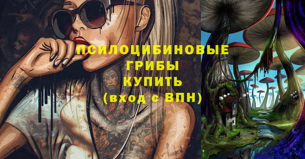амф Абинск