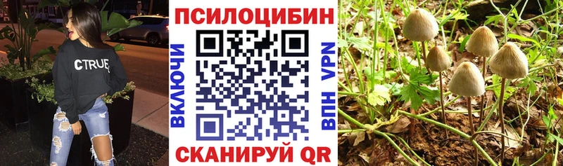 Галлюциногенные грибы прущие грибы  наркота  Советская Гавань 