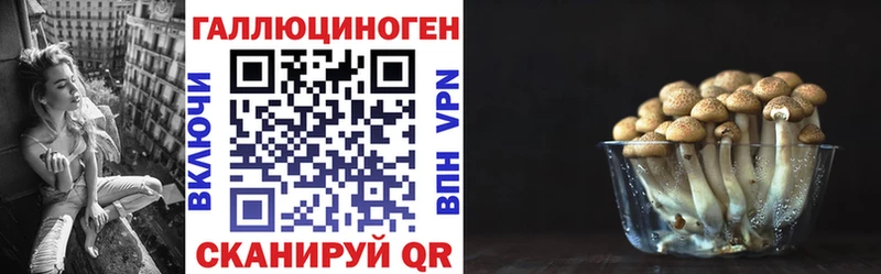 Галлюциногенные грибы Psilocybe Советская Гавань