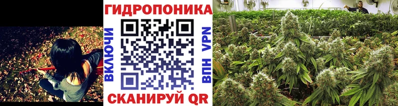Канабис OG Kush  omg ссылка  Советская Гавань 